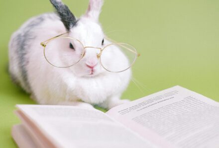 My New Eyeglasses – It’s Always  Dark Before The Dawn