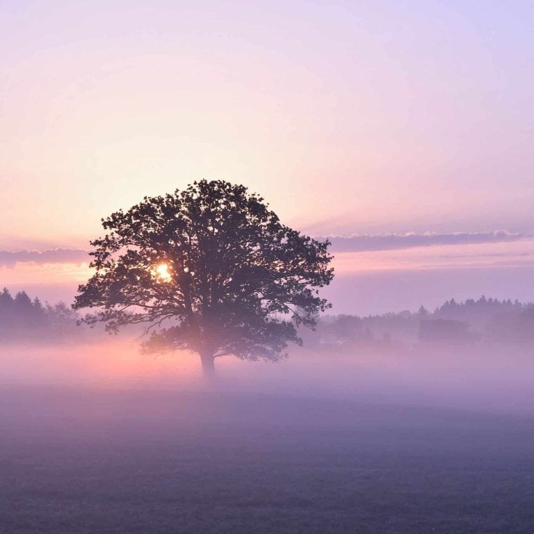pexels-wunderbilder-18889120